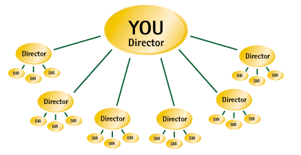 gnld-director-position